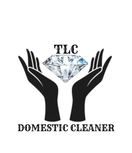 Domestic Cleaner